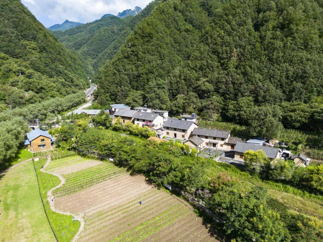 這裡有九座山,一半是水域,一半是農田,而柞水縣營盤鎮的朱家灣村就