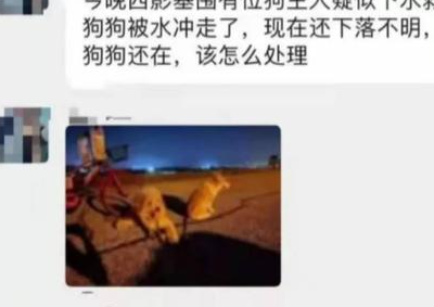 广东一男子在江堤边遛狗，不幸被狗拽入江水中，现仍在搜寻中…… 