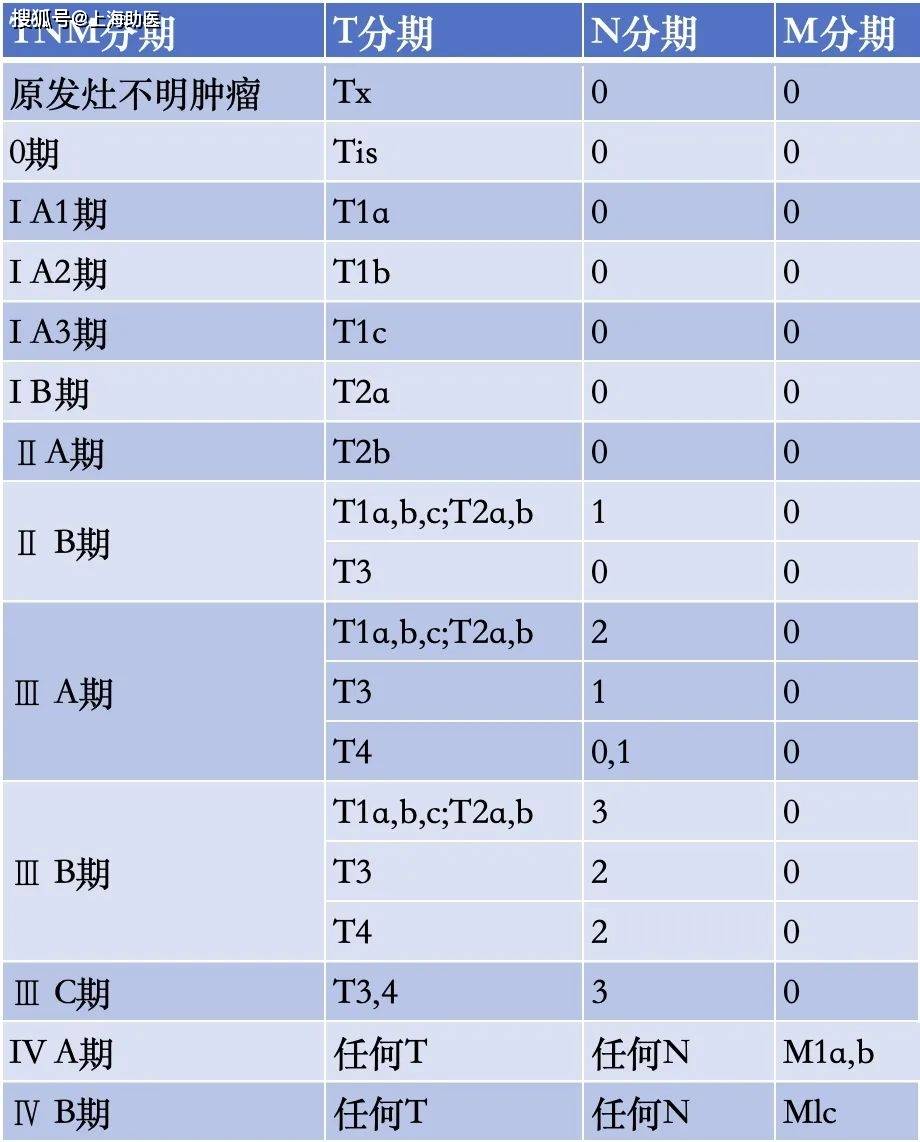 2021版肺癌分期和分类图片