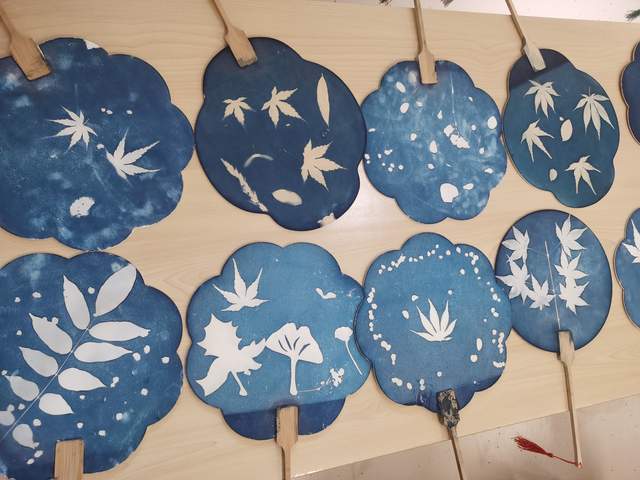 和自然植物交互,用太阳定格自然的美好,制作一件独一无二的蓝晒作品