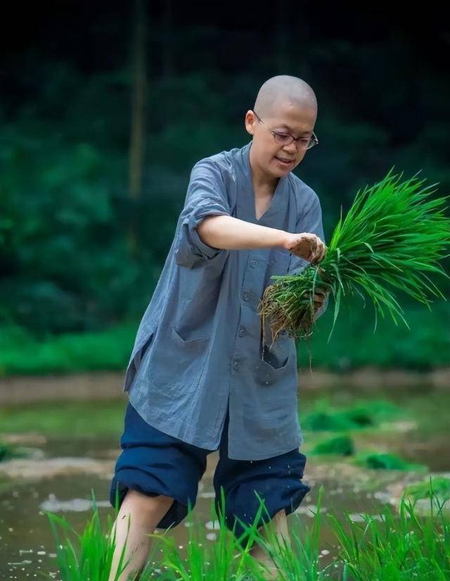 养立法师出身于中医世家,从小到大根本没干过农活,也不会干.