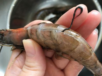 有人说虾线太脏了,其实虾线就是虾的肠道,里面很多都是泥巴之类的,在