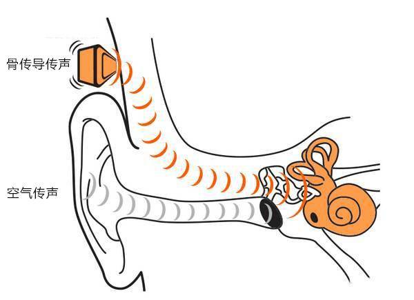 一篇读懂（骨传导耳机排名有哪些？骨传导耳机排行