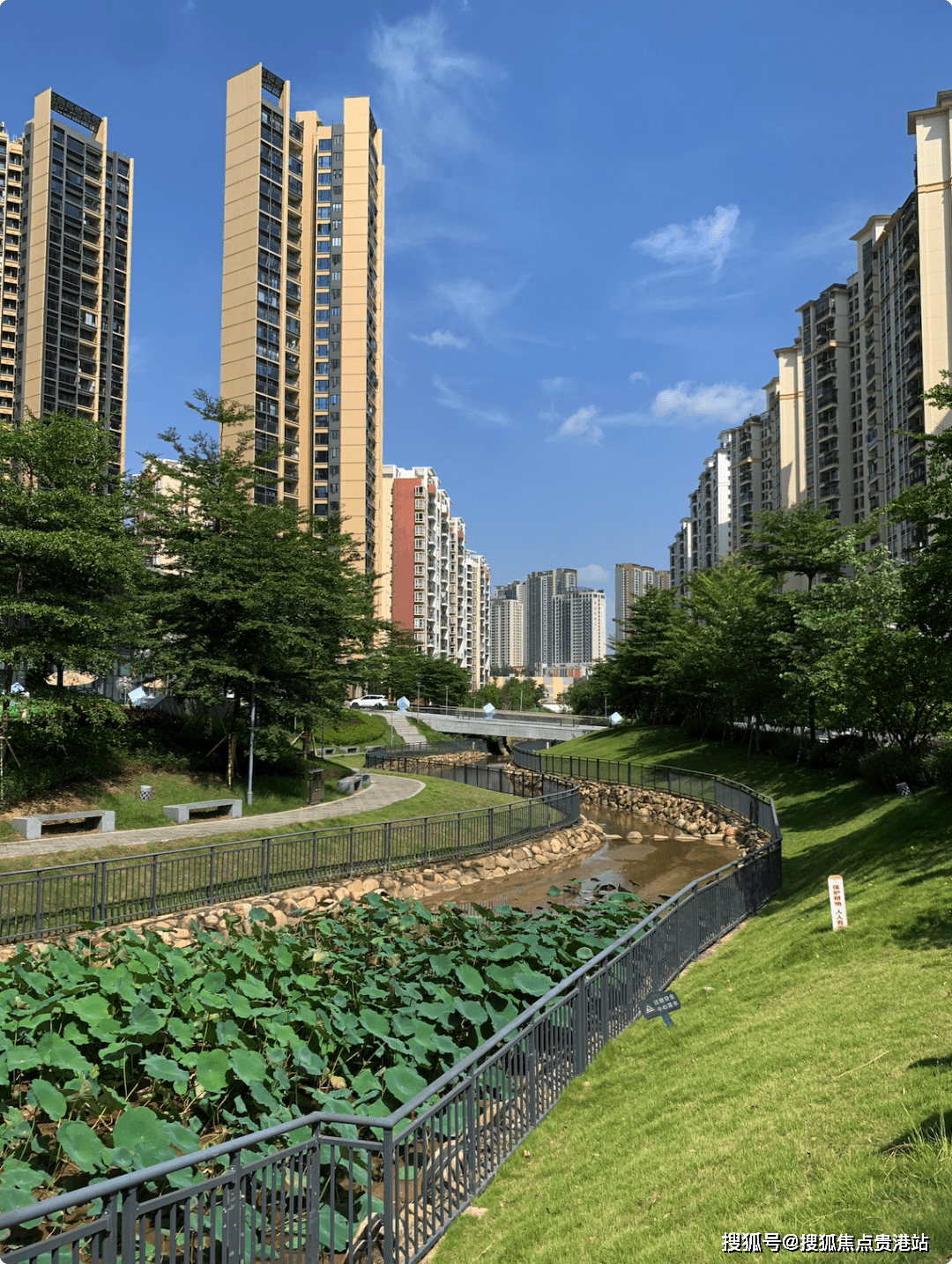 (美盛·岭尚苑-深圳美盛·岭尚苑)小学,中学学区:仙田外国语学校_商业