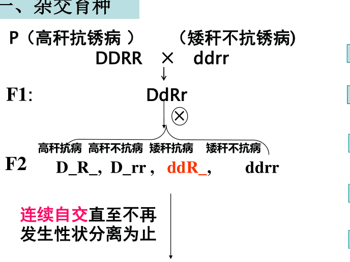 回交不会违反伦理道德吗?