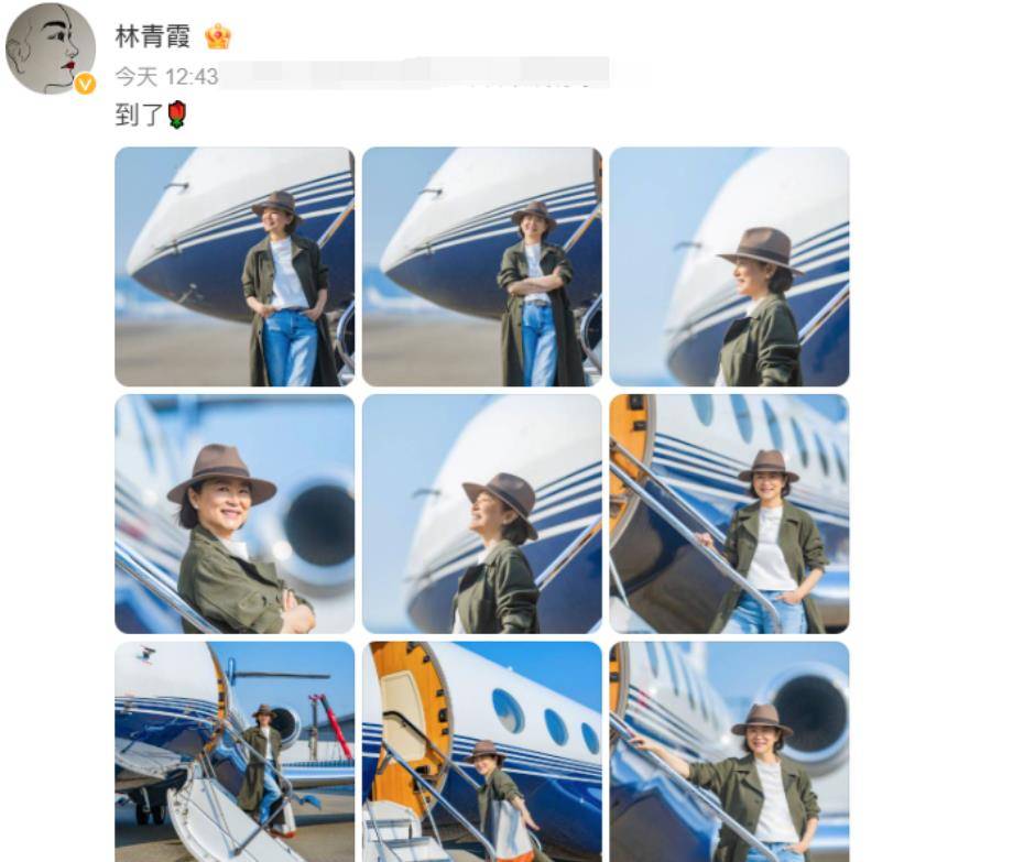 林青霞私人飞机图片
