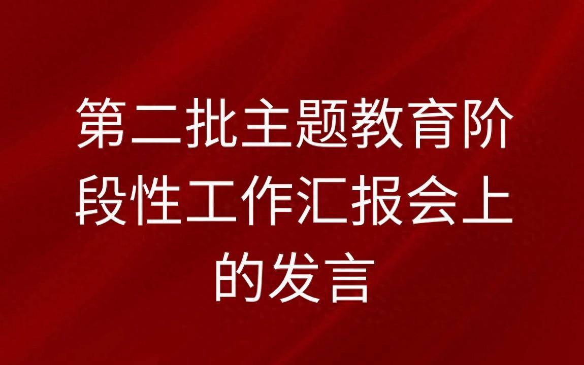 第二批主題教育階段性工作彙報會上的發言_發展_服務_