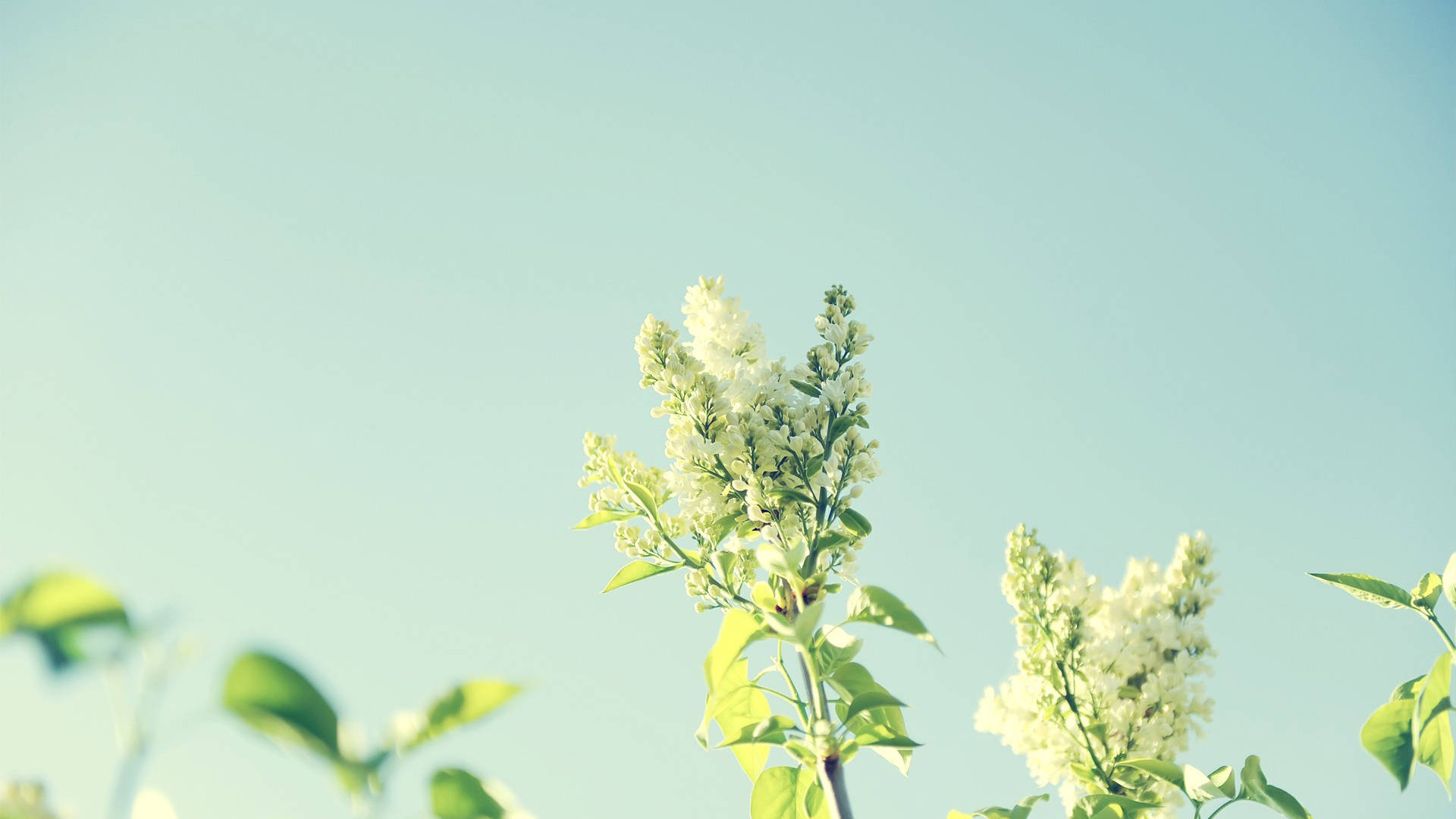 开朗大方,善良真诚,这5星座是真性情达人,让人觉得亲近无比_朋友_性格