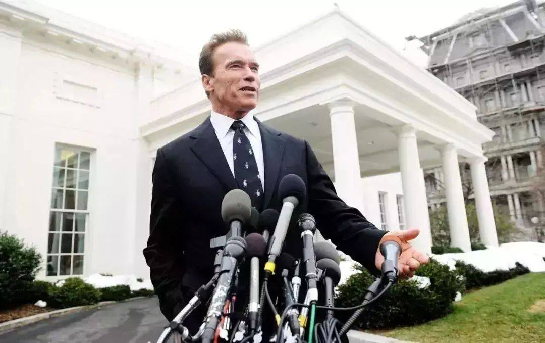 网飞纪录片,讲述史泰龙的彪悍人生,和施瓦辛格的恩恩怨怨_电影_洛奇