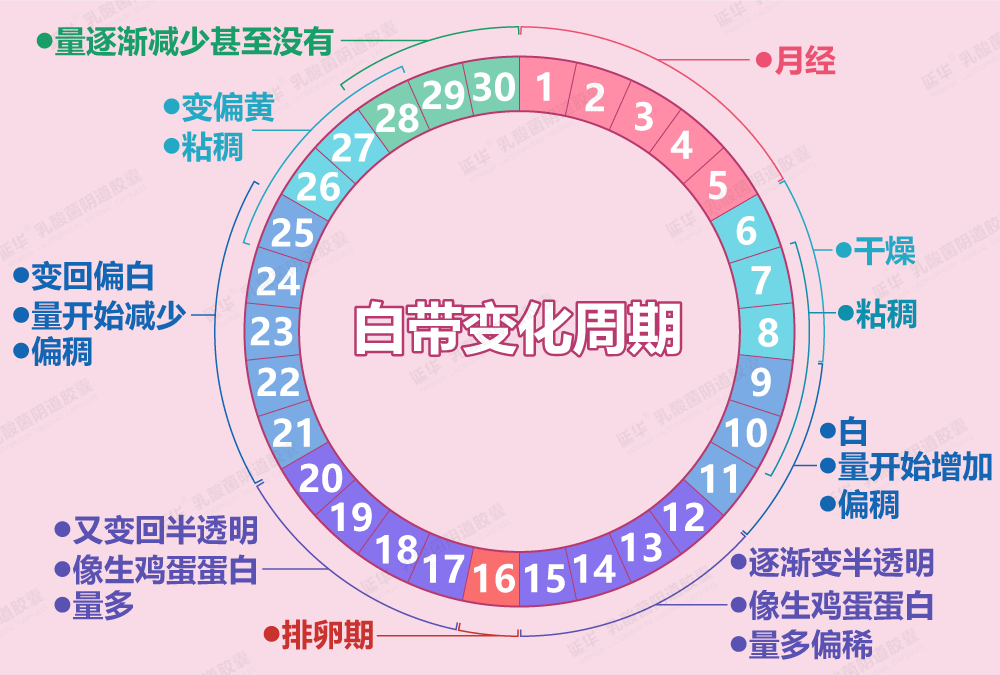 别动不动就喊白带异常