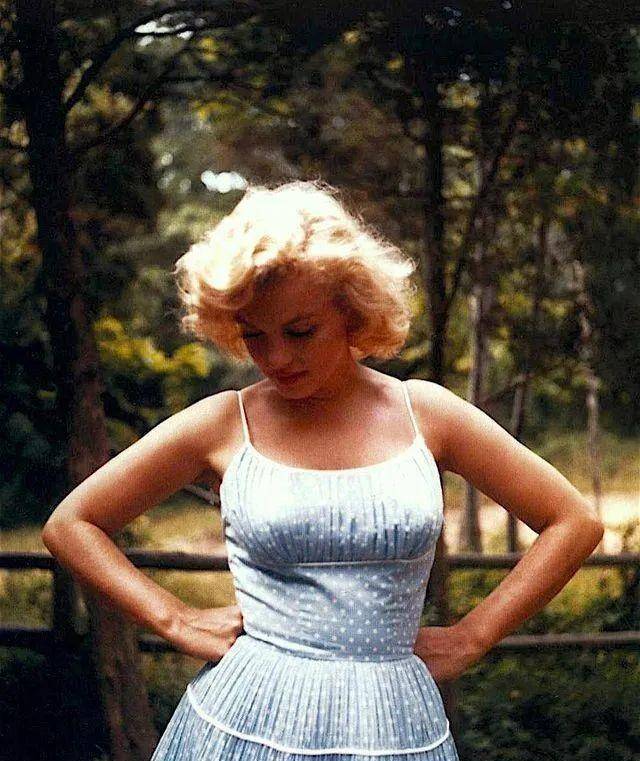 金发巨乳≠无脑!又聪明又漂亮_穿着_连衣裙_经典