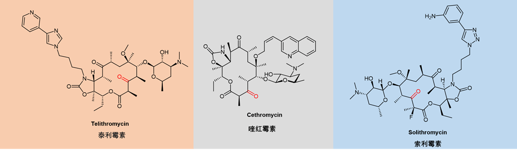 泰利霉素是哪类抗生素图片