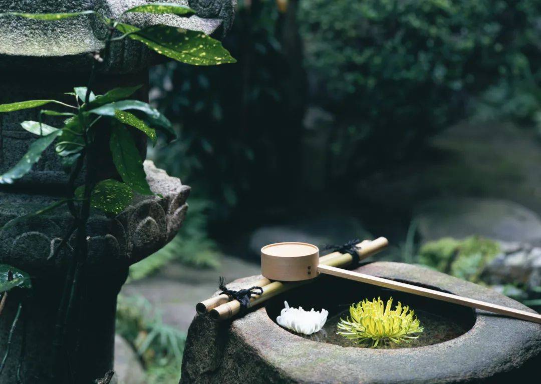 生活，就是喝喝茶谈谈心 