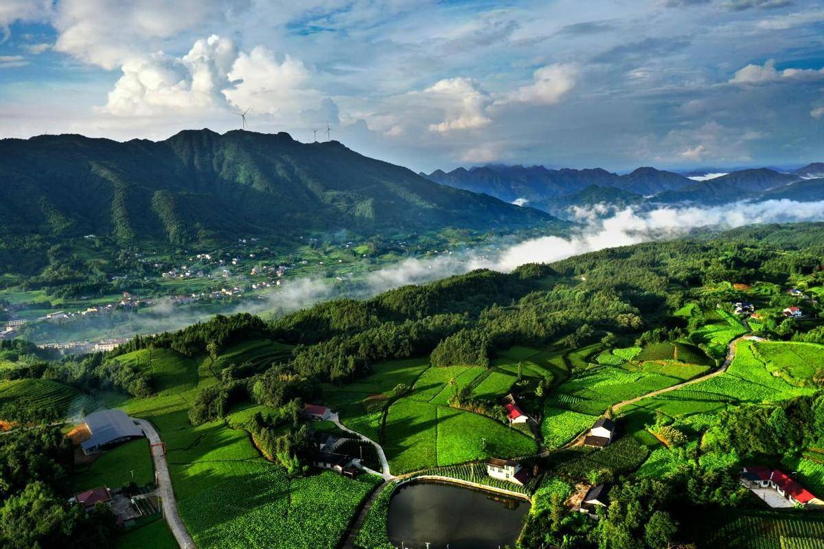 一夜山中客 十年尘外人 这里是湖南石门_旅游_避暑_游客