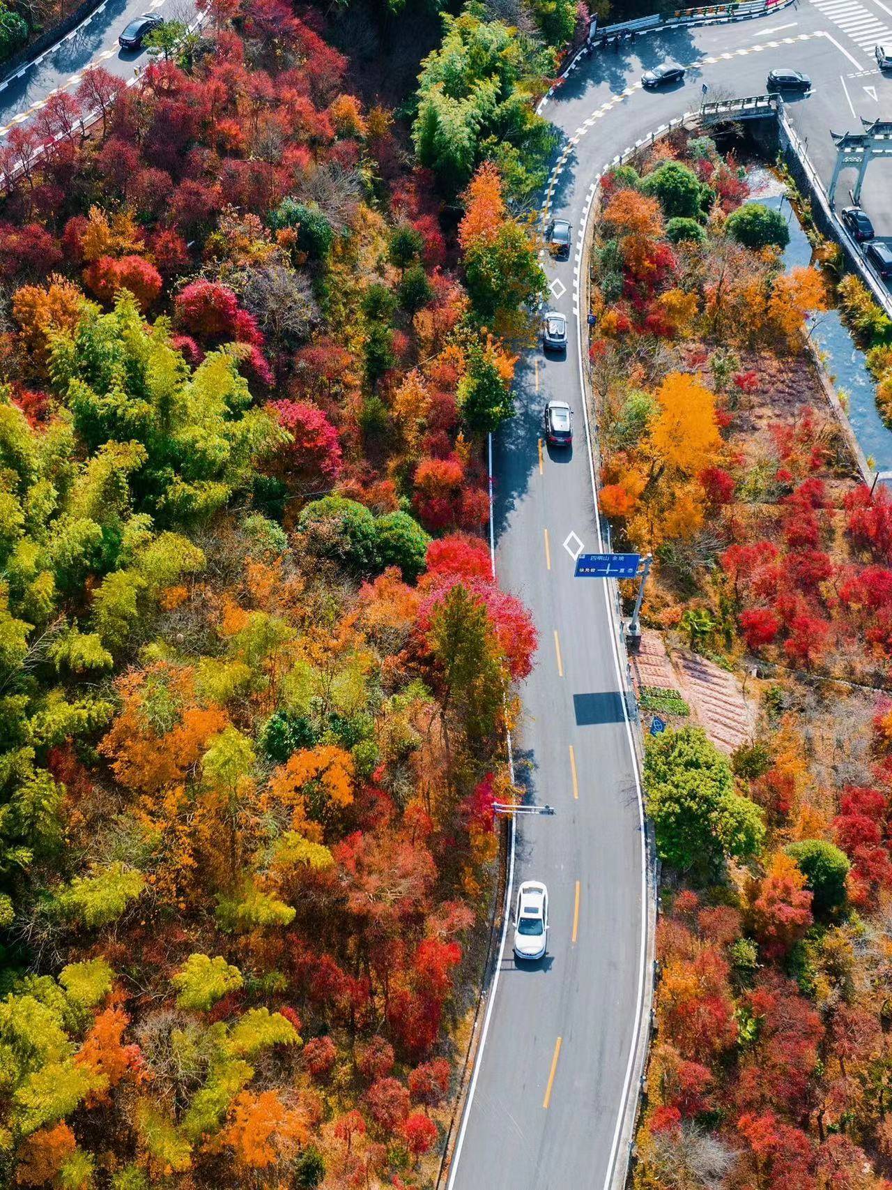 宁波最美盘山公路图片