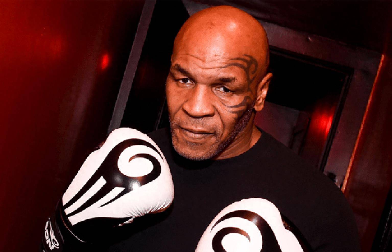 拳王泰森飞机打人事件再次发酵,被要求赔偿45万美元_梅尔文_对方_挑衅