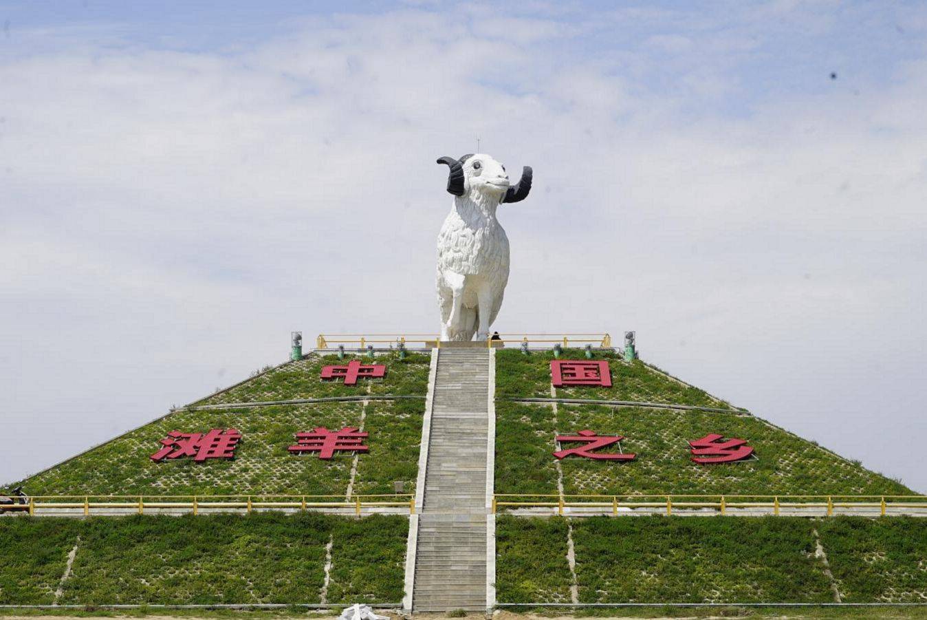 盐池滩羊和内蒙古羊肉图片