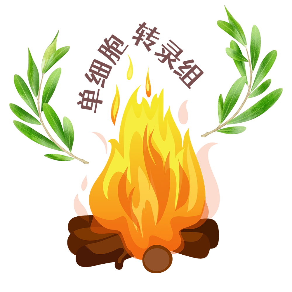 植物单细胞基础工程之标记基因数据库_搜狐网, image size:1000x1000