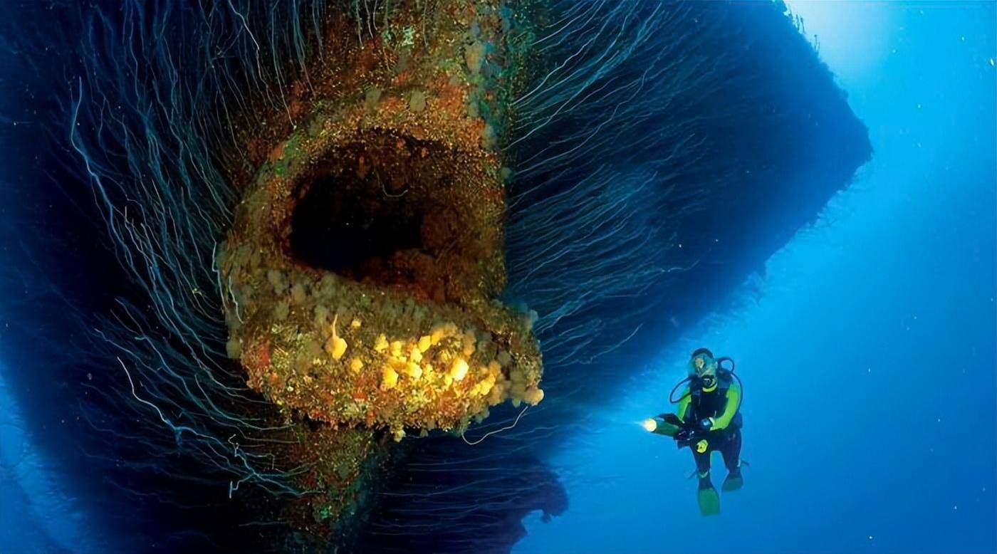 深海生物 恐惧图片