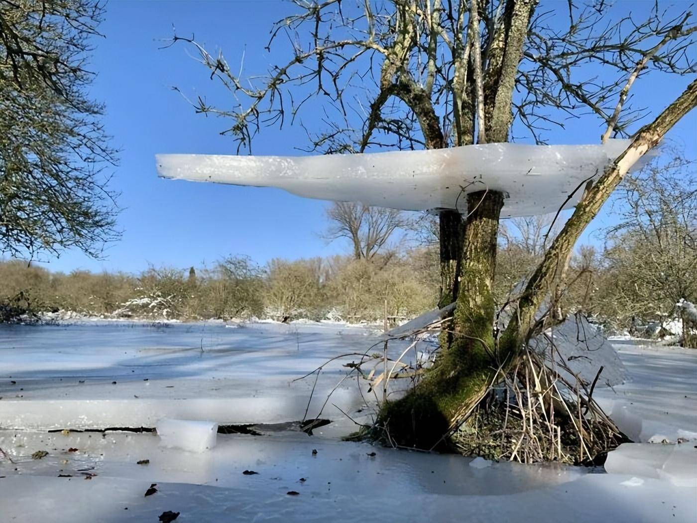 冰雪世界:40张最有趣的冬季照片带你领略大自然的魔力_冰柱_样子_房子