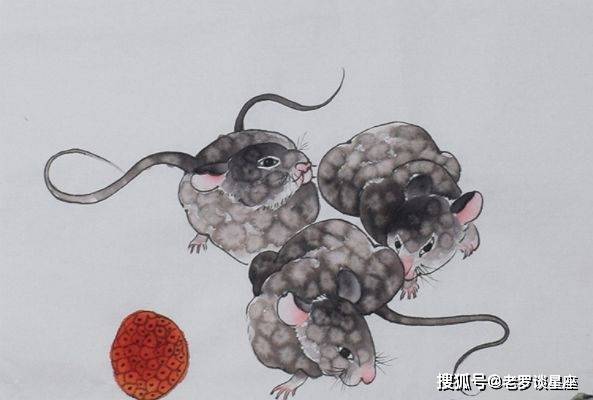 罗永浩生肖星座运势图最新(生肖星座运势查询)