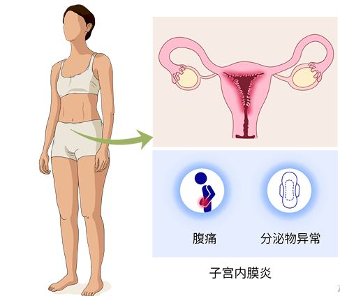 dheaamh是天然營養素,它們有助於調節女性內分泌系統,實現卵巢養護