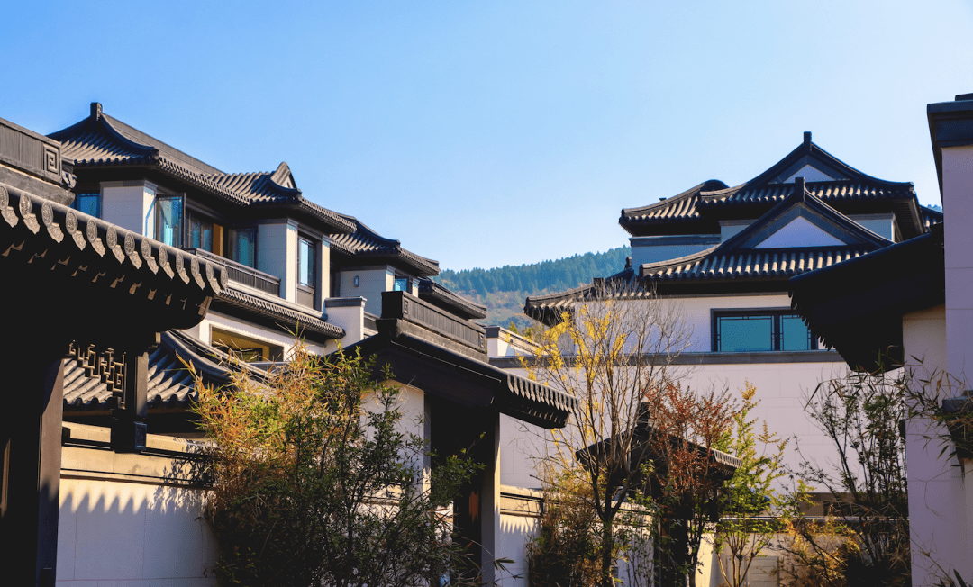 栖居济宁曲阜耕读书院阅遍人间诗意欢喜_颜色_色彩_生命