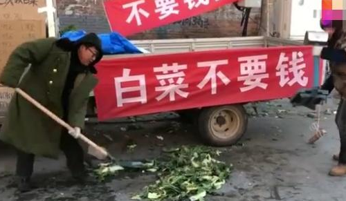 大哥“免费”卖白菜，3小时净赚5000元！网友恼：我咋没想到呢？(图6)