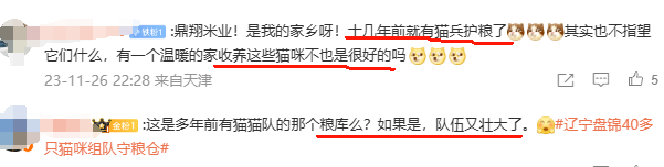 央妈表扬!辽宁盘锦40多只猫咪组队守粮仓,给护粮的猫猫队小卫士点赞! 央妈表扬!辽宁盘锦40多只猫咪组队守粮仓,给护粮的猫猫队小卫士点赞!
