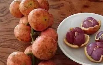 它是一种天然的“止咳药”，味道酸甜，许多人没吃过，市场不常见(图4)