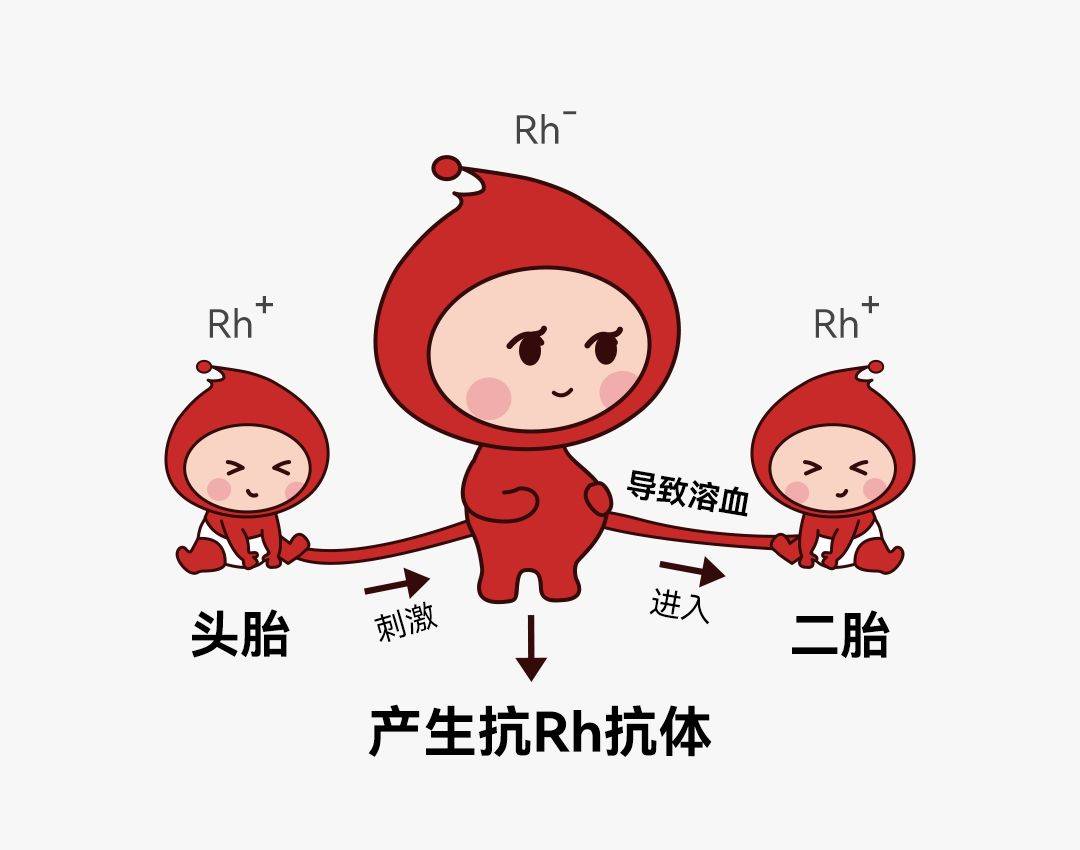 英科新创科普站 | 不容忽视的新生儿rh溶血病