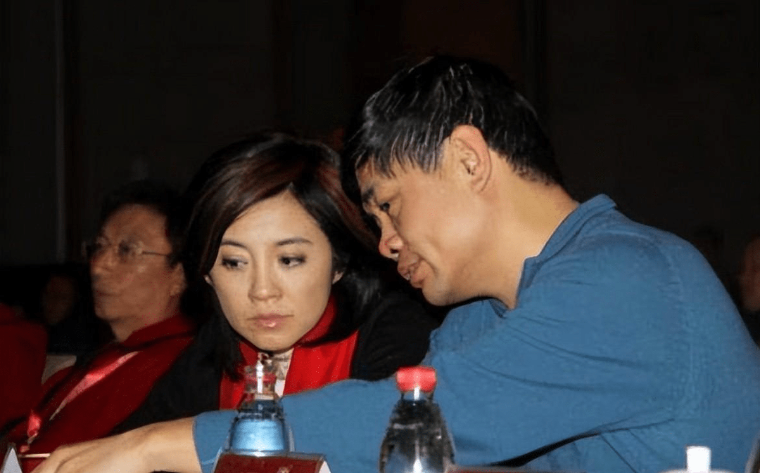 富豪丁健爱上前电视女主持,与原配摊牌后分手,2个孩子都归前妻_许戈辉