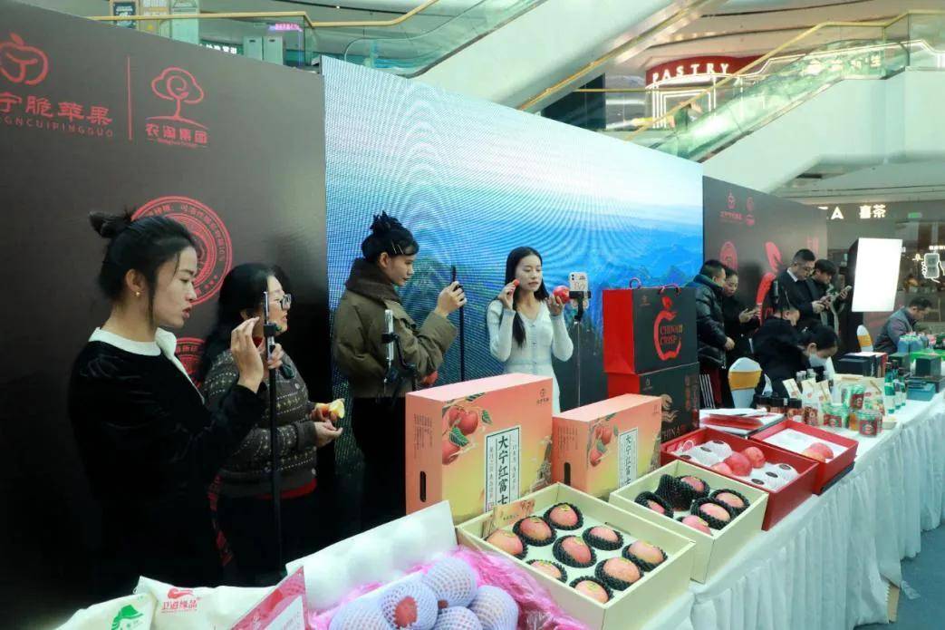 大宁宁脆苹果区域公用品牌推介会在太原举行_乡村_发展_活动