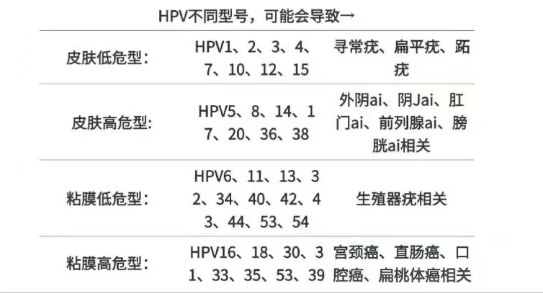 黏膜高危型: 包括hpv16,18,30,31,33,35,53,39等,与宫颈癌,直肠癌
