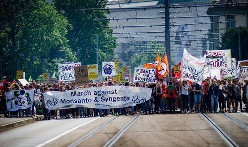 孟山都为何被称为"最邪恶公司"?