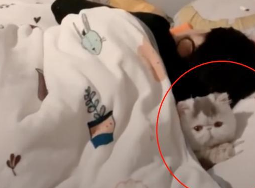 女儿不完成作业被教训，回房间赌气，妈妈一进房间瞬间被萌翻！ 