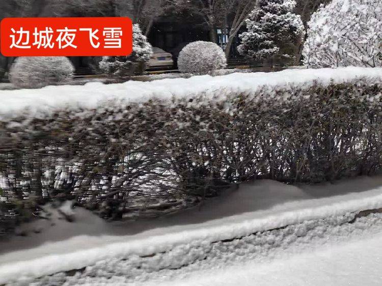 七律 夜雪柔情(外三首)_彭宇昭_柯美柘_韓俊清