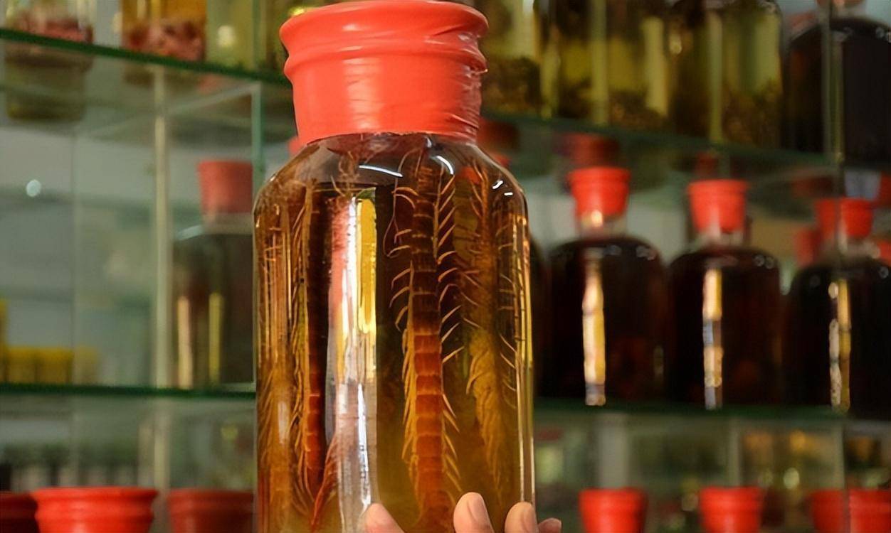 男子发现泡2年的药酒里海马竟是塑料?动物泡酒真有效吗?