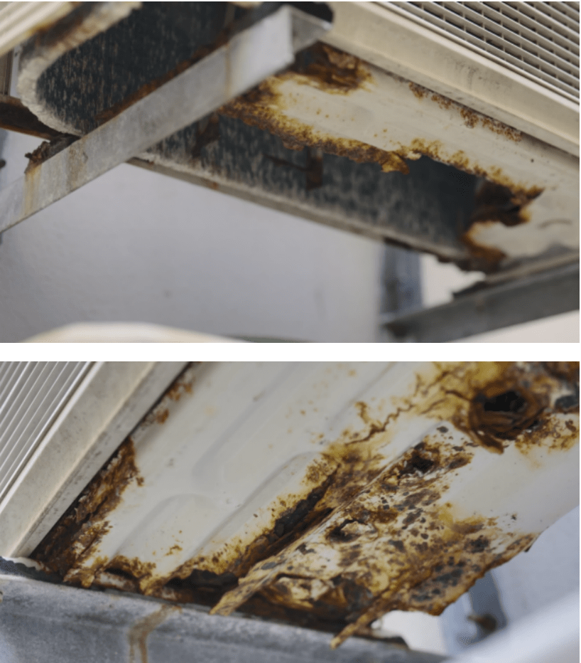 为非洲定制“海岛空调”，美的集团全球突破战略提速-家电圈官网