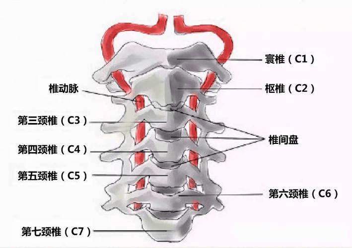 脊柱_症狀_治療