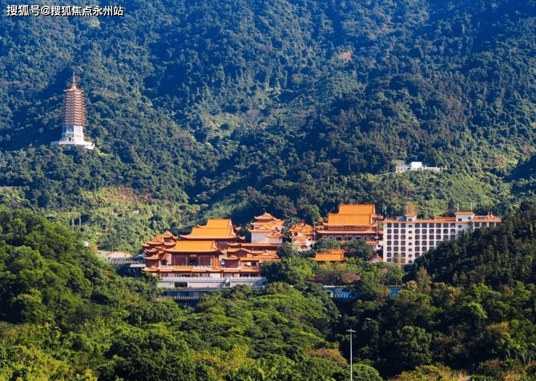 東海富匯豪庭(羅湖東海富匯豪庭)首頁網站丨房價_戶