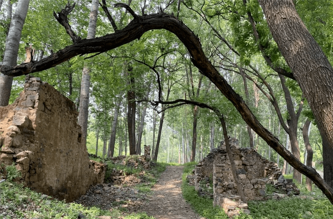 一場持續8年的幫扶接力……_石村_駐村_計都