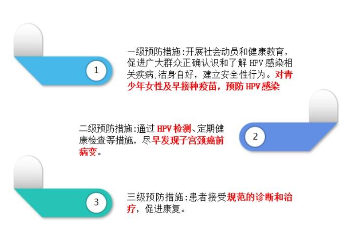 tct检查单子图片宫颈图片