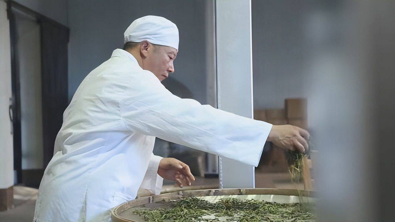 乐享云南|好礼· 墨江须立贡茶_普洱_原料_侵权