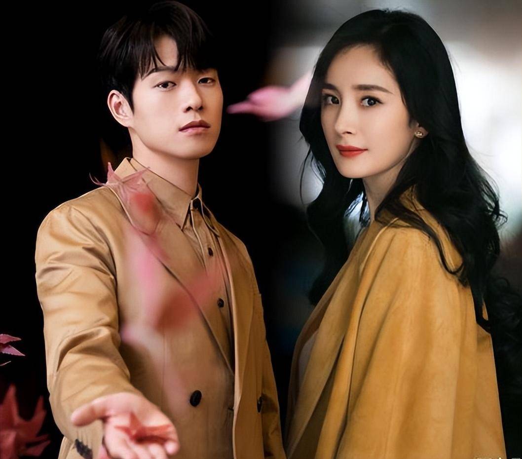 刘恺威_网友_事件