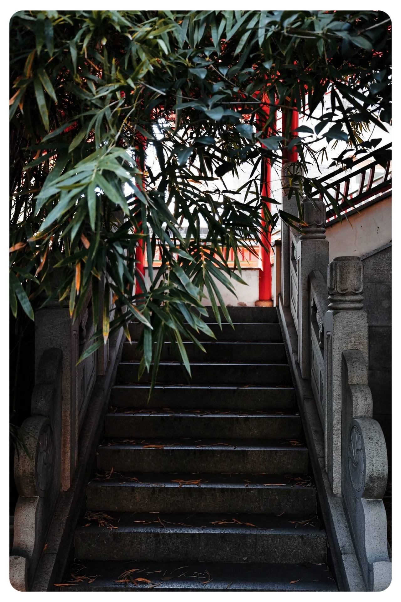 南京毗卢寺机位数罗汉求财攻略
