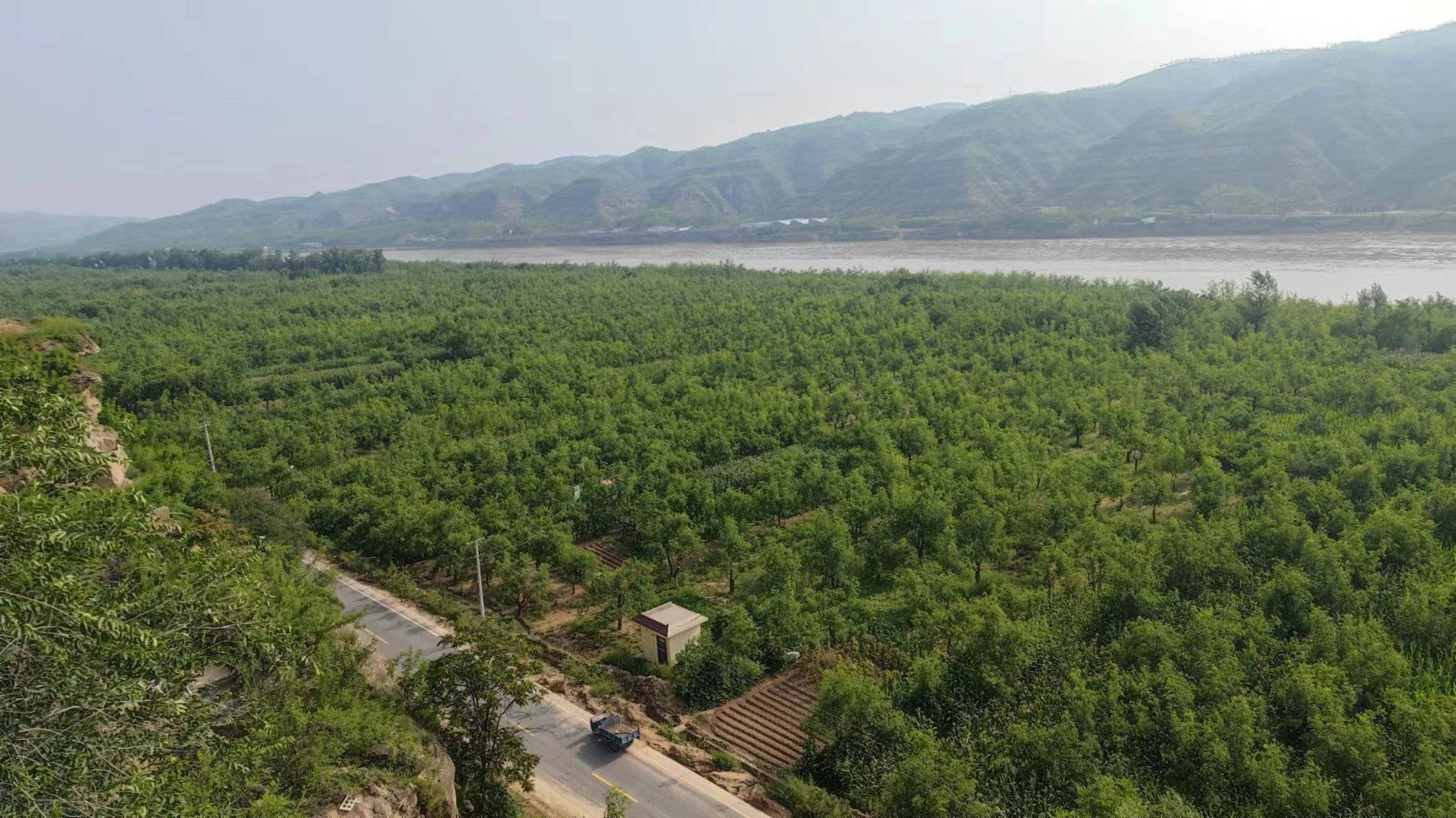 佳县酸枣灵的美丽传说