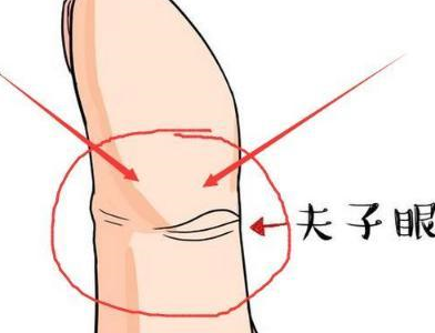 食指手相图片