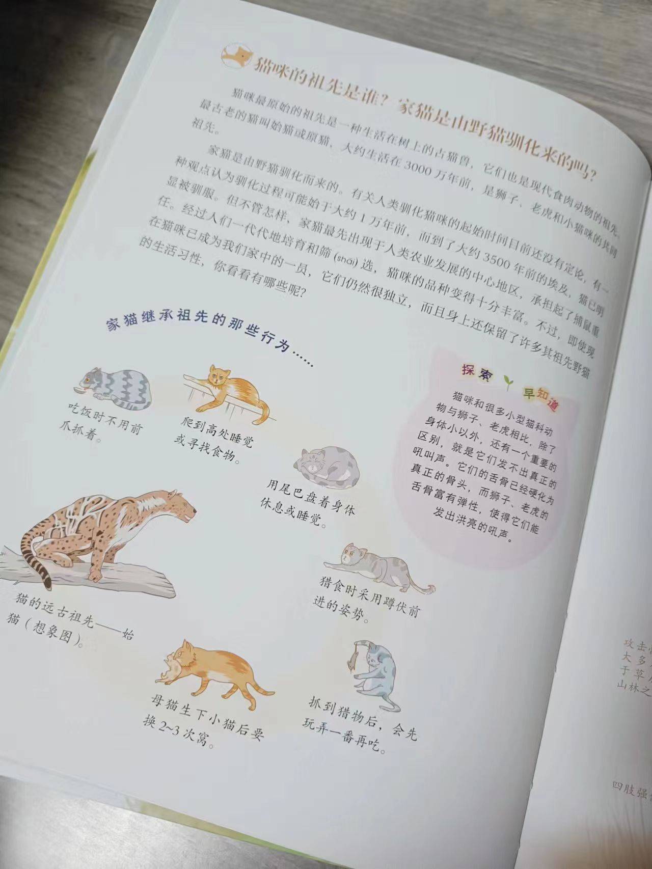 小學童探索百科:九命貓咪踏著機靈的腳步來啦_動物_科普_馴化