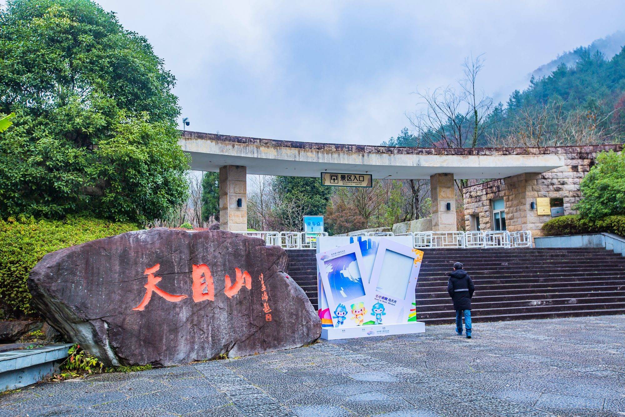 杭州臨安天目山,擁有眾多名貴的參天古樹,是一處寶藏旅行打卡地_大樹